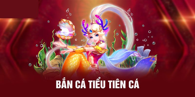 Tìm hiểu sơ qua về bắn cá tiểu tiên cá