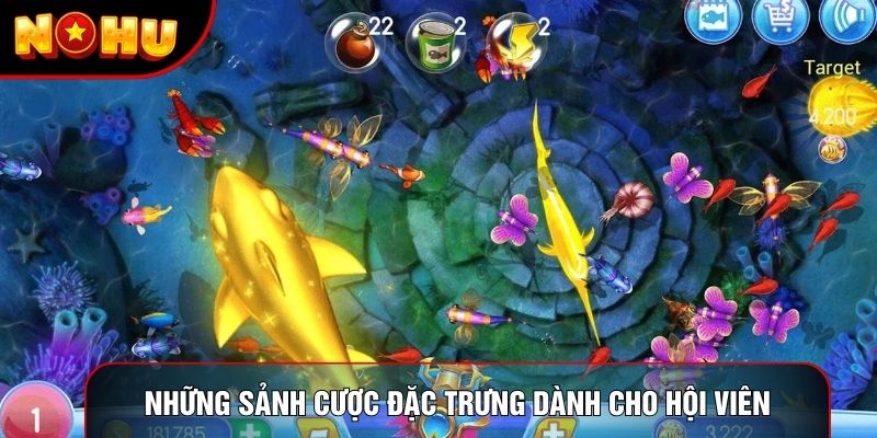 Những sảnh cược đặc trưng dành cho hội viên Những sảnh cược đặc trưng dành cho hội viên