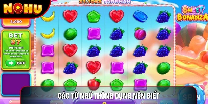 Các từ ngữ thông dụng nên biết Các từ ngữ thông dụng nên biết