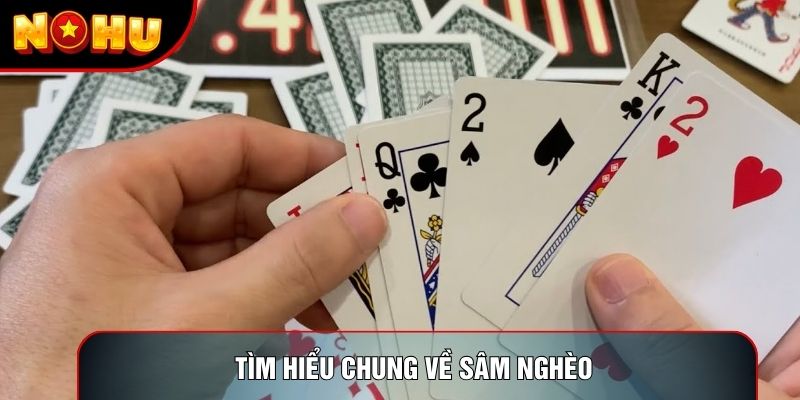 Tìm hiểu chung về sâm nghèo Tìm hiểu chung về sâm nghèo